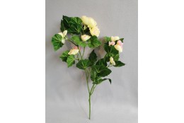 Begónie zeleno-sv.žluto-růžová 41 cm