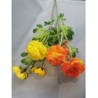 Ranunculus  - oranžová
