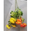 Ranunculus  - oranžová