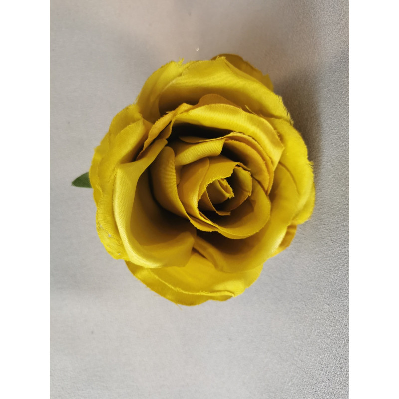 Růže vazbová velká