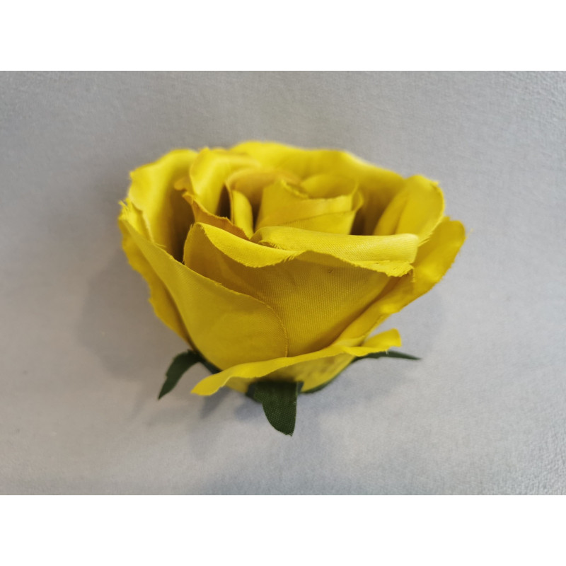 Růže vazbová velká