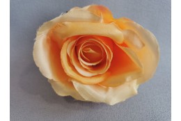 Růže sv. lososová velká vazbová 8*9 cm