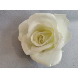 Růže krémová vazbová 7*8 cm