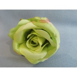 Růže zelená s červenými okraji vazbová 7*8 cm