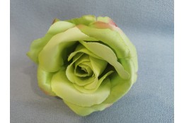 Růže zelená s červenými okraji vazbová 7*8 cm