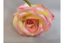 Růže krémovo-růžovo-zelená vazbová 7*8 cm