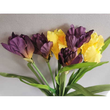 Jarní kytice, 6 irisů
