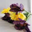 Jarní kytice, 6 irisů