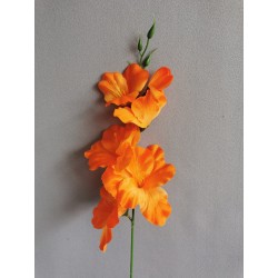 Gladiola oranžová 50 cm