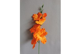 Gladiola oranžová 50 cm