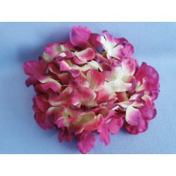 Hortenzie vínovo-růžovo-zelená vazbová Ø 17 cm