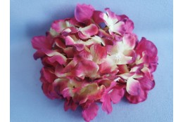 Hortenzie vínovo-růžovo-zelená vazbová Ø 17 cm