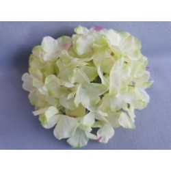 Hortenzie krémovo-zeleno-růžová vazbová Ø 17 cm