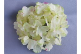 Hortenzie krémovo-zeleno-růžová vazbová Ø 17 cm