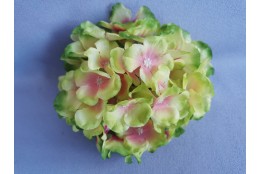 Hortenzie tm.zeleno-růžová vazbová Ø 17 cm