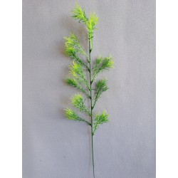 Větvička Asparagus 57 cm