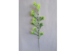 Větvička Asparagus 57 cm