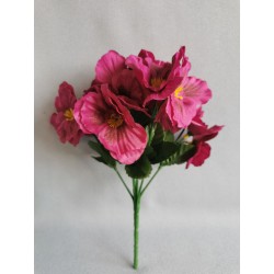 Maceška vínová 26 cm