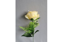 Růže sv. žlutá zápich 30 cm