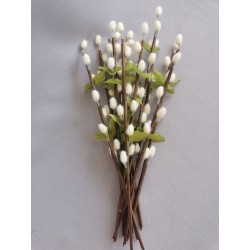 Větvička kočičky krémová 28 cm