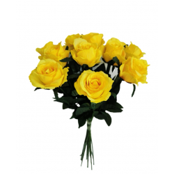 Růže kytice (12ks) sytě žlutá 65 cm