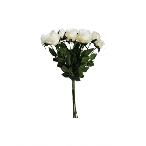 Růže bílá, 12 ks
