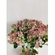 Mužíček / rozchodník, 35 cm