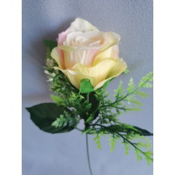 Růže sv. růžovo-žlutá zápich 30 cm