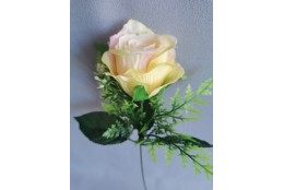 Růže sv. růžovo-žlutá zápich 30 cm