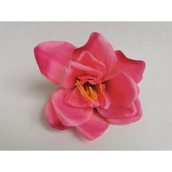 Amarylis růžová vazbová Ø 14 cm