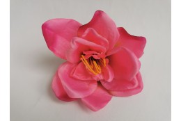 Amarylis růžová vazbová Ø 14 cm