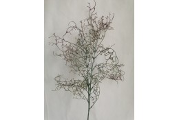 Drátovec růžový 80 cm