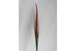 Travina červeně kvetoucí 73 cm