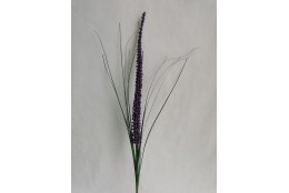 Travina fialově kvetoucí 73 cm