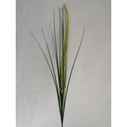 Travina žlutě kvetoucí 73 cm