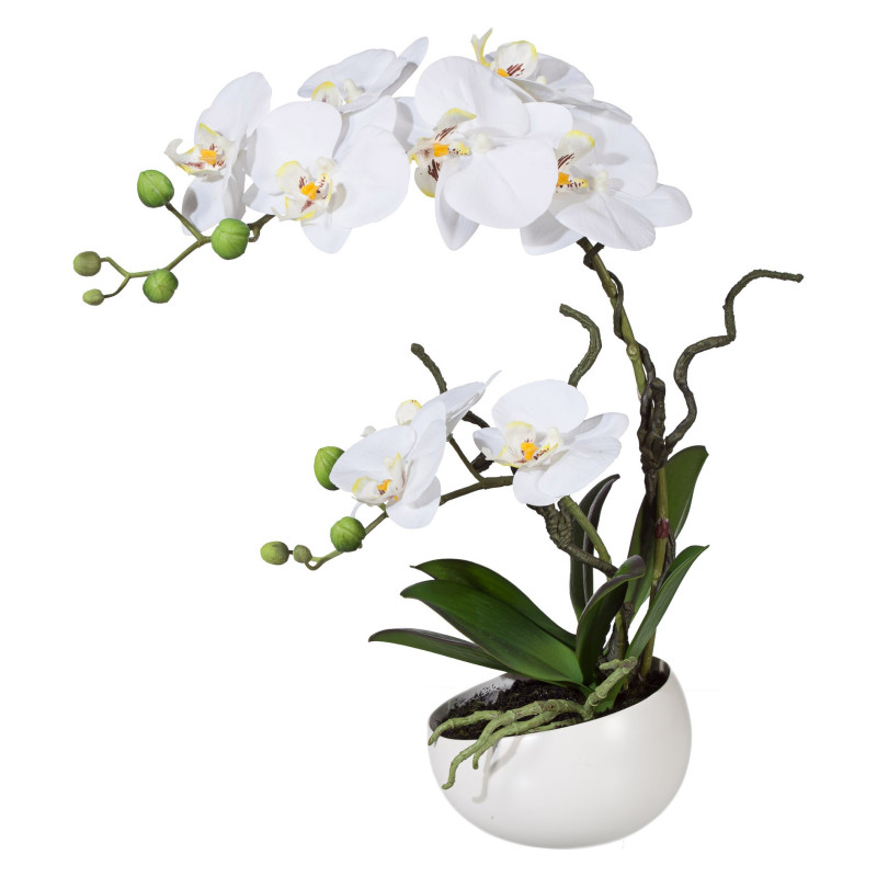 Orchidej v květináči, 42 cm