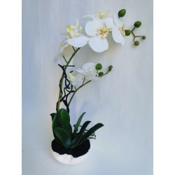 Orchidej bez květináče, 42 cm