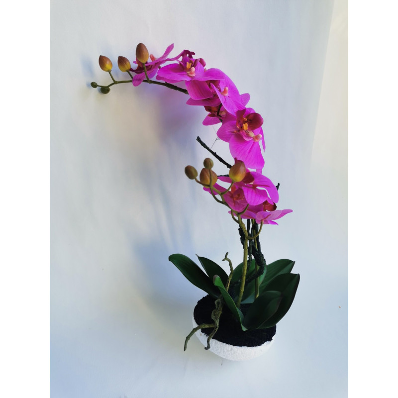 Orchidej bez květináče, 42 cm