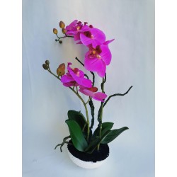 Orchidej bez květináče, 42 cm