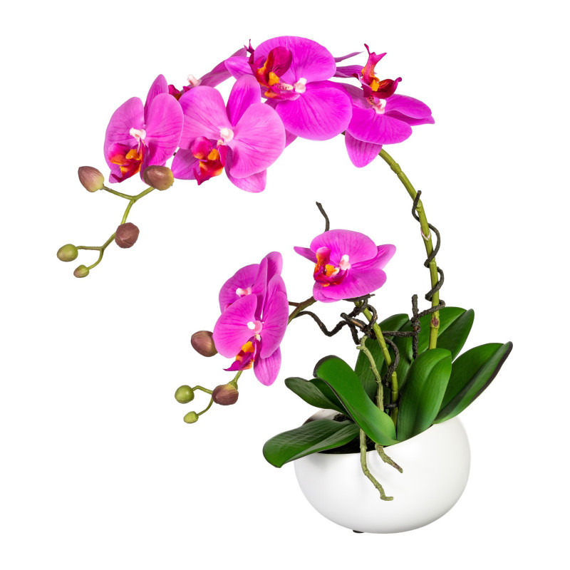Orchidej bez květináče, 42 cm