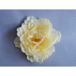 Pivoňka sv. žlutá vazbová Ø 12 cm