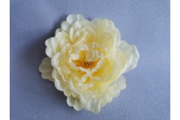 Pivoňka sv. žlutá vazbová Ø 12 cm