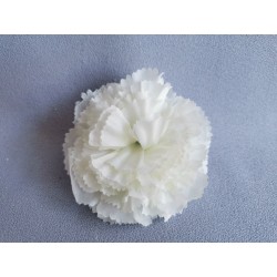 Karafiát krémový vazbový Ø 8 cm