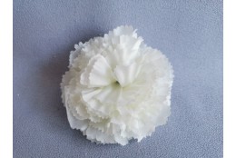 Karafiát krémový vazbový Ø 8 cm