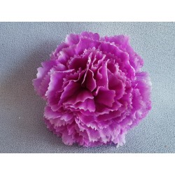 Karafiát fialový vazbový Ø 8 cm