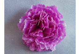 Karafiát fialový vazbový Ø 8 cm