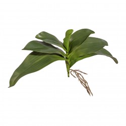Listy orchideje x7 velké 30 cm