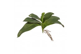 Listy orchideje x7 velké 30 cm