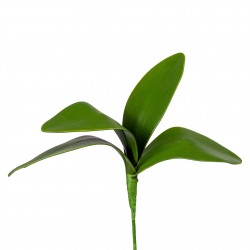 Listy orchideje x4 20 cm