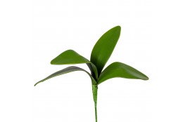 Listy orchideje x4 20 cm